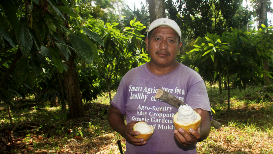 Cacao farmer Manuel Tut - Ya'axché