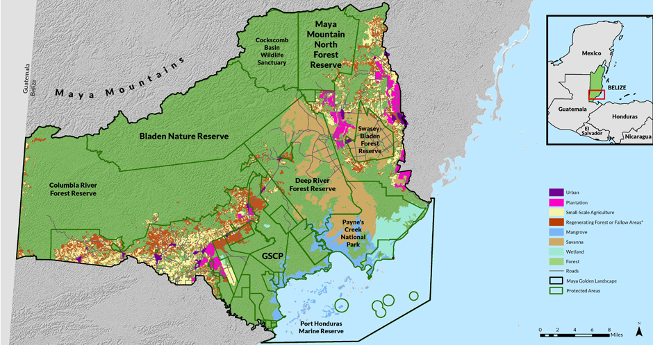 Land use land cover change in the MGL - Ya'axche