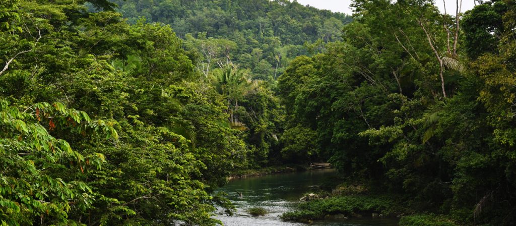 River running through Belize's forest - Ya'axche